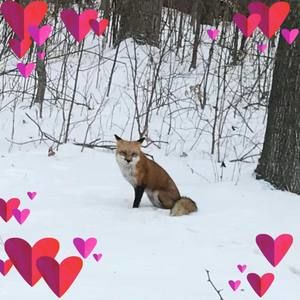 Meet your Posher, Freda